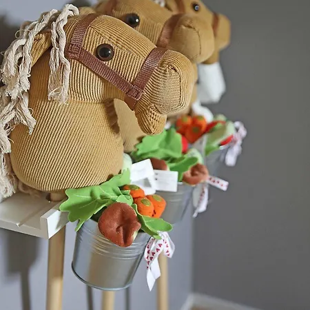 Savonlinnan Kansanopisto - Wanha Pappila 호스텔 사본린나